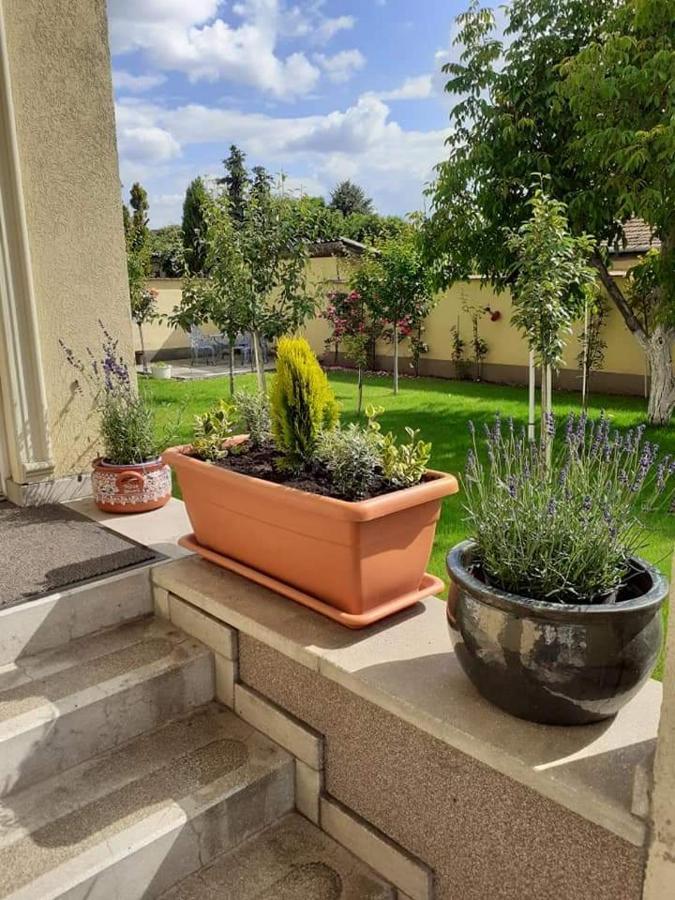 Apartmán Aranyoshaz-Vendeghaz Budapešť Exteriér fotografie